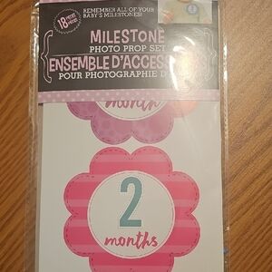 Milestone NWT Girl Photo Prop Set - Pink and Purple